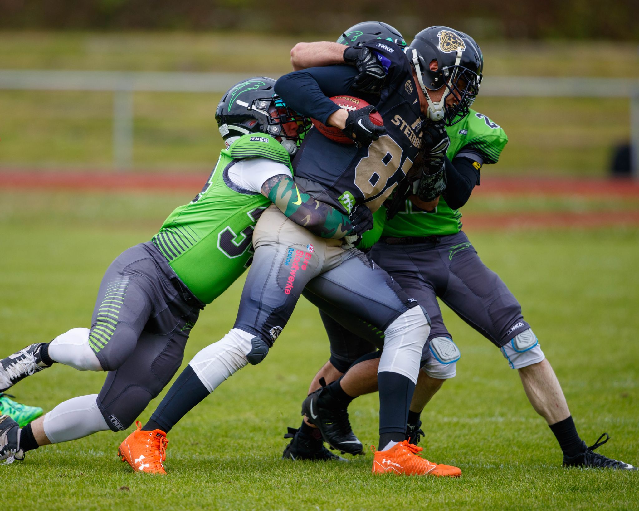 Itzehoe, Steinburg Panthers